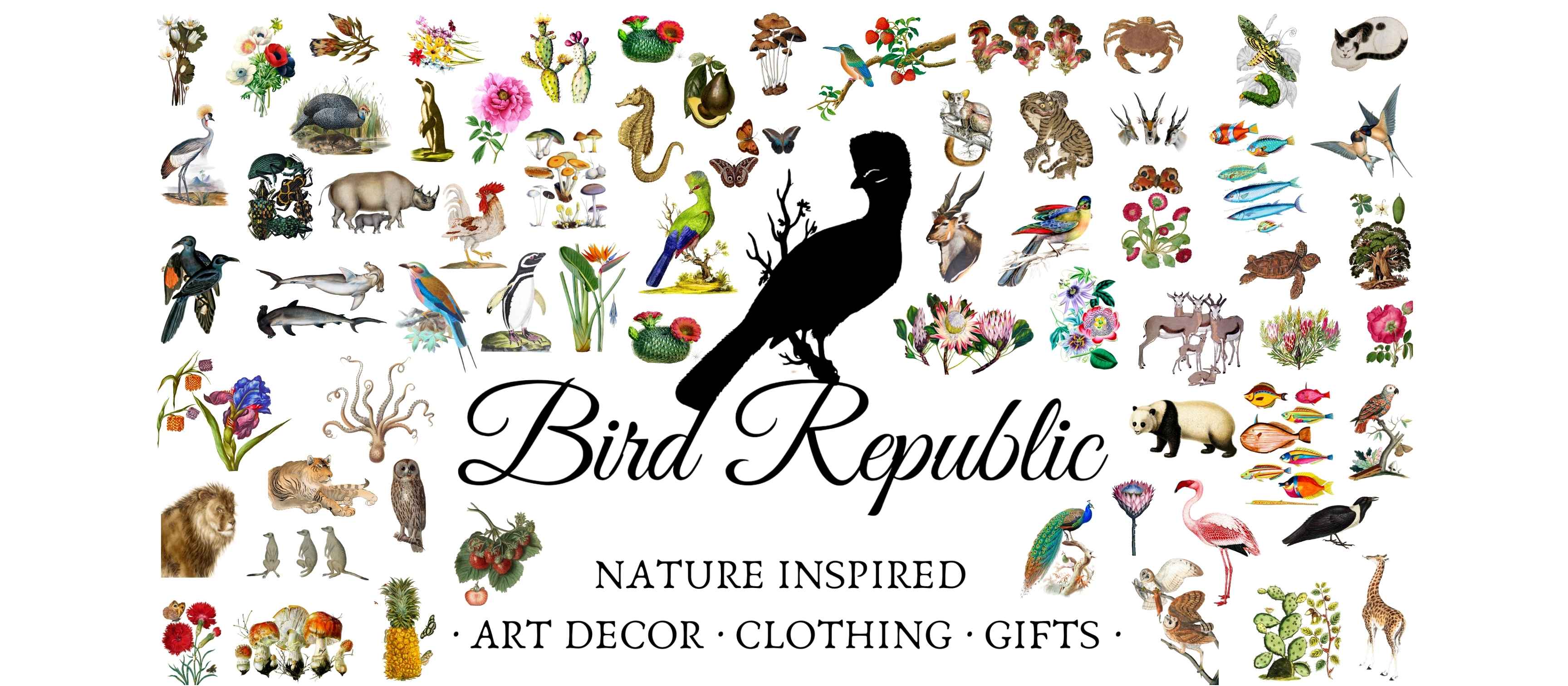 Shop Art South Africa - Nature Inspired Art Decor Gifts Bird Republic