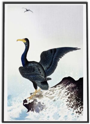 Cormorant | early 20th Century